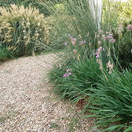 Bed & Breakfast Girasole Boutique Riola Sardo